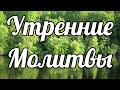 Утренние Молитвы. Утреннее Правило