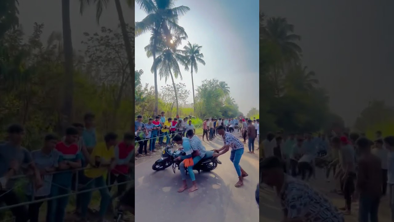 GREHOUND DOG RACE STATUS॥ श्वान शर्यत || महाराष्ट्र राज्य श्वान शर्यत ॥ 