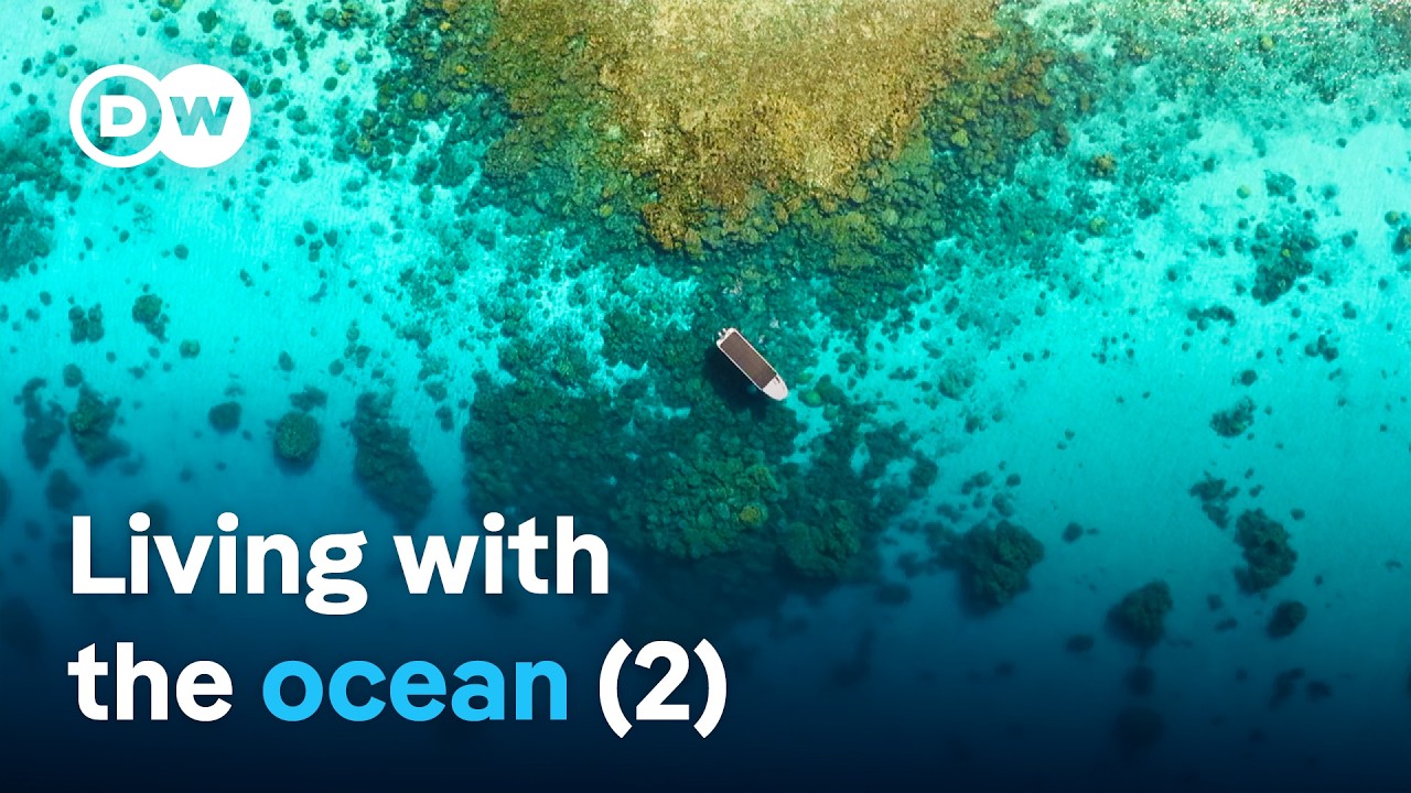 Treasure islands in the Pacific - From the Chatham Islands to Enewetak (2/2) | DW Documentary