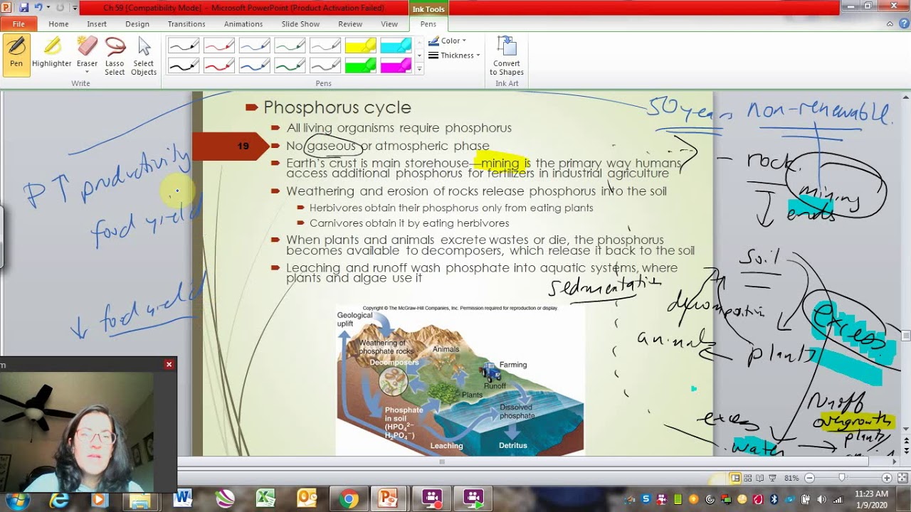 Biogeochemical Cycles - YouTube