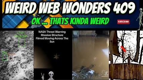 weird web wonders 409