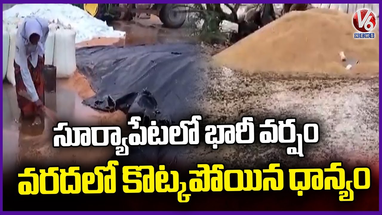 Farmers Suffering From Crop Loss Due To Unseasonal Rains | Suryapet ...