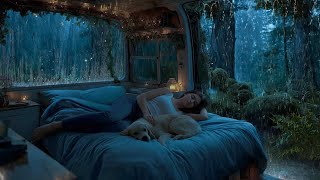 Sleeping in the Car During a Gentle Rain 🌧️ Soft Thunder & Cozy Ambience for Inner Calm - No Ads screenshot 3
