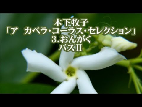 木下牧子　混声「アカペラ・コーラス・セレクション」より　３．おんがく　バスⅡ