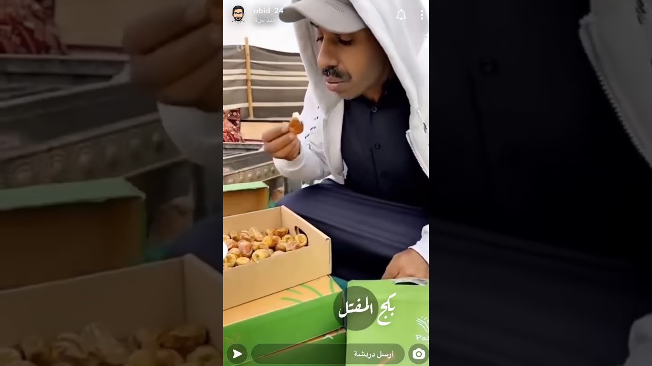 ابو يزيد- تمور بالما