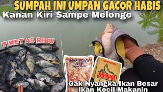 UMPAN SEDOT PENGURAS EMPANG HARIAN IKAN MAS ... GARA GARA RAJA UDANG IKAN BETAH & KUMPUL