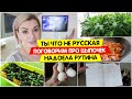 Ты что не РУССКАЯ! / Поговорим про ЦЫПОЧЕК / Надоела рутина /Что приготовить на завтрак Vika Siberia