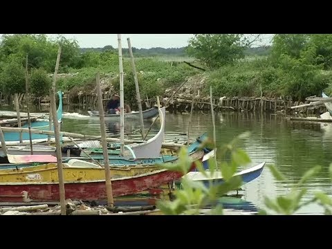 Video: Mga Protesta At Lugar Ng Konstruksyon