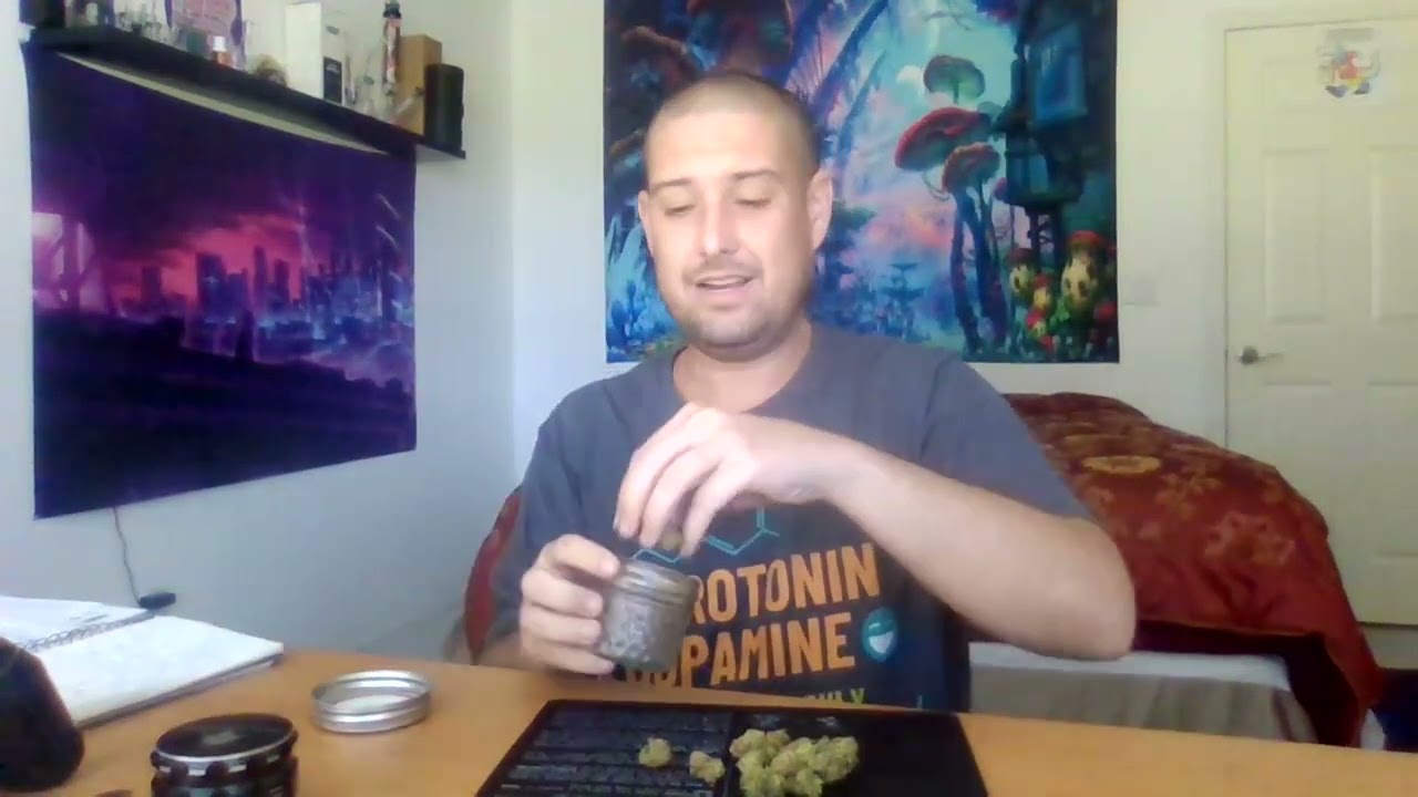 Curaleaf Flower Review - Ice Cream Haze