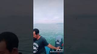 Pukat temenung@kembung