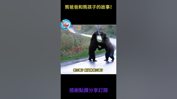 狗狗只搞笑動物系列第538集 熊爸爸和熊孩子的故事！ #搞笑 #黃狗 #monkey #搞笑 #黃狗 #主人 #主人 #panda #老友狗狗 #狗熊 #大熱門 #funny #animals #黑熊