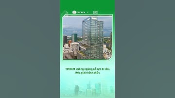 TP.HCM không ngừng nỗ lực đi lên: Hóa giải thách thức