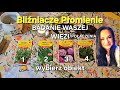 Bliźniacze Płomienie część I💞badanie połączenia💝wybierz obiekt