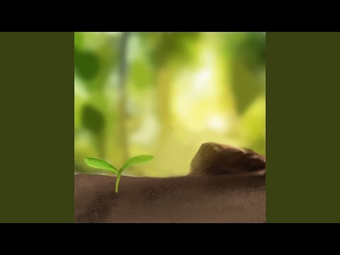 Tonton 暂停键 (胎教版) di YouTube