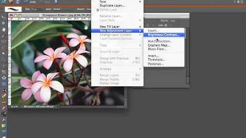 PhotoShop Elements - Hue & Saturation Layer