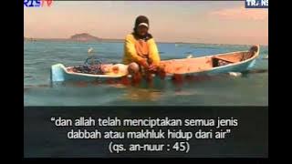 Khazanah  Adakah Jagad Lain di Alam Semesta