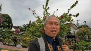 SYVP Task Force Meeting at Mt Sabrina, General Santos City, October 29, 2025