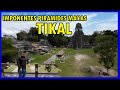 Las imponentes pirmides mayas de tikal guatemala