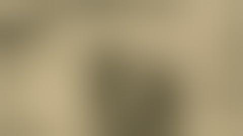 AMH 2020: The Ghost Dance