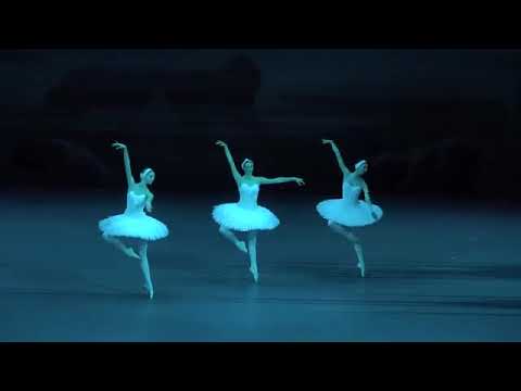 3羽の大きな白鳥達の踊り「白鳥の湖」ステパーノワ