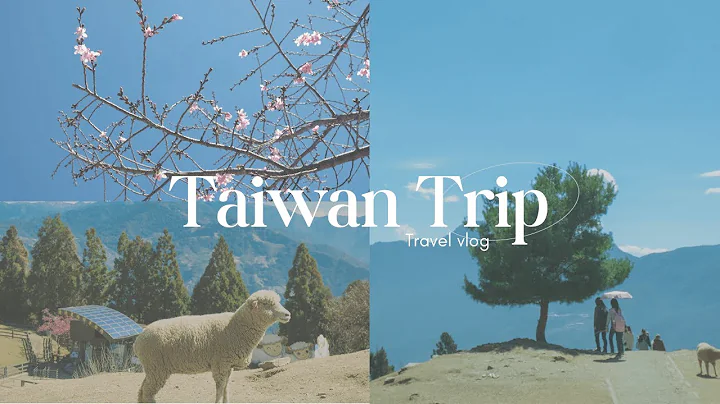 A Week in Taiwan | Exploring Taipei and Taichung, Cherry Blossoms, Qingjing Farm, Street food - DayDayNews