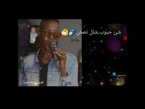 المبدع امين نيكسس