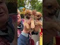 Хвостаті Друзі 🐾