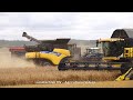 New Holland - Fendt / Getreideernte - Grain Harvest  2020