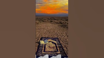 سورة التين 🦋🍃