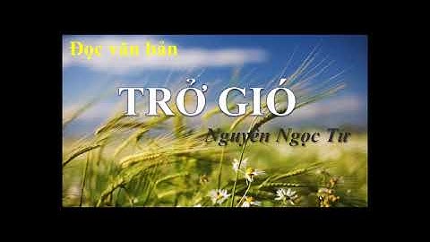 TRỞ GIÓ (ĐỌC VĂN BẢN) - NGỮ VĂN 7 - KẾT NỐI TRI THỨC
