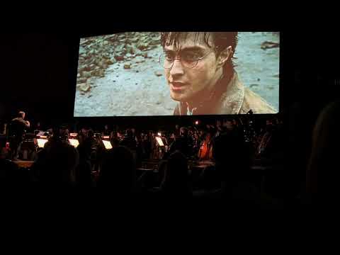 Harry Potter and the Deathly Hallows part 2 in concert - Showdown + Voldemorts End