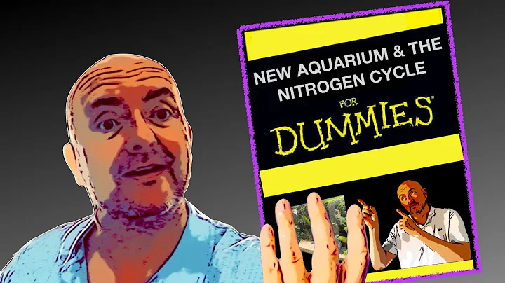BEST Nitrogen cycle guide for beginners & your new aquarium