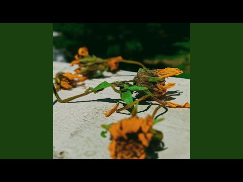 Supertask — Healing