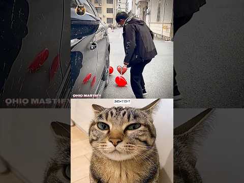 نيفيتادهينغراموزيك
