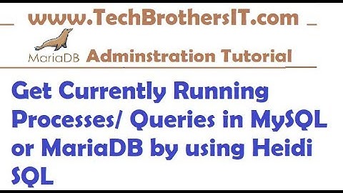 How to Check Currently Running Queries  Processes on MySQL or MariaDB by using Heidi SQL
