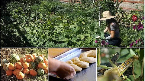 Making Challah, Dinner + Cleaning The Garden