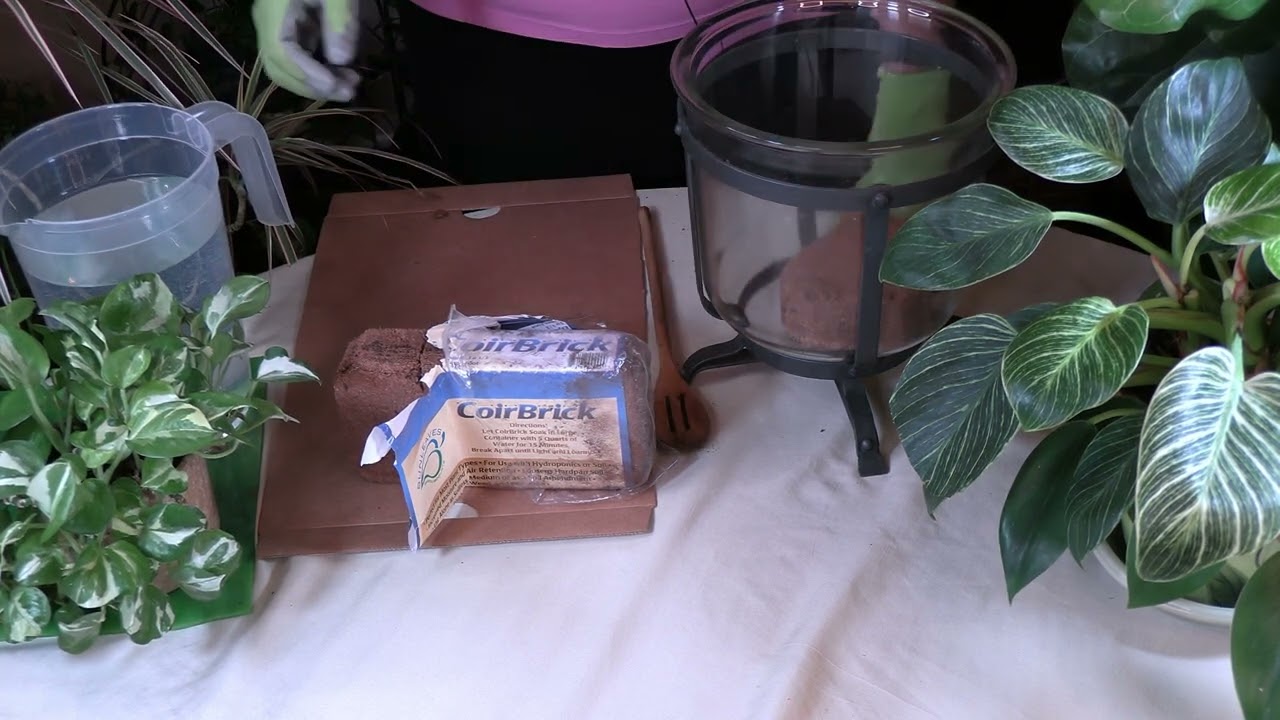 Coconut Coir for Houseplants / Sustainable Amendment 