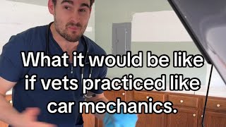 What It Would Be Like if Vets Practiced like Car Mechanics