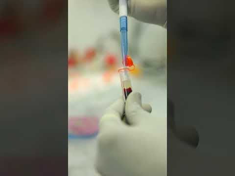   المختبر الطبي في المستشفى البيطري الدولي