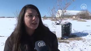 Üniversite Öğrencileri Atık Malzemeleri Sokak Hayvanları Için Kulübeye Dönüştürdü