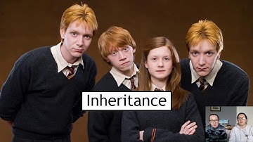Variation and Inheritance Section 2 -Inheritance