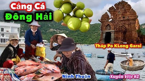 Cảng Cá Đông Hải Của Ngư Dân Phan Rang-Ninh Thuận || Tháp Chăm Po Klong Garai. Xuyên Việt #2