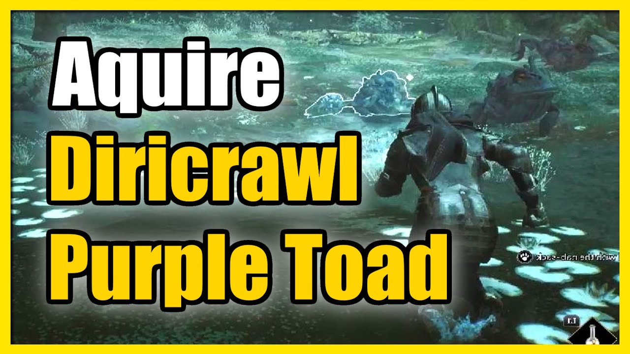 Professor Howin's Assignment & Acquire Diricawl & Giant Purple Toad Quest (Hogwarts Legacy)