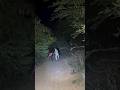 horror seen #huntedseen #viralshorts #ytshorts #horrorsounds #horrorstories