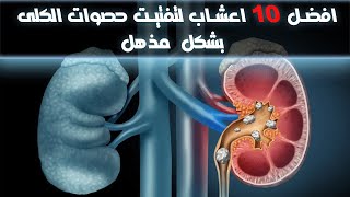 افضل 10 اعشاب لتفتيت حصوات الكلى