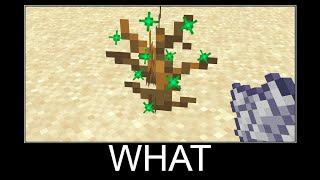 Minecraft WAIT WHAT meme #71