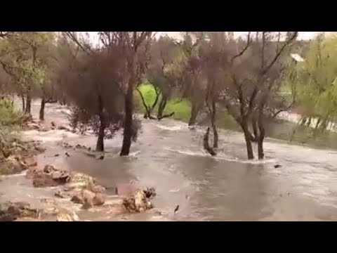 Wind advisory continues as Bay Area storm hits - YouTube