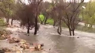 Wind advisory continues as Bay Area storm hits