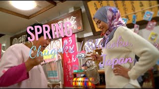 Japan My Next ... - Chugoku & Shikoku 15S