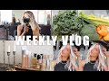 VLOG: COME TO THE SALON WITH ME, GROCERY HAUL, FENTY SKIN REVIEW